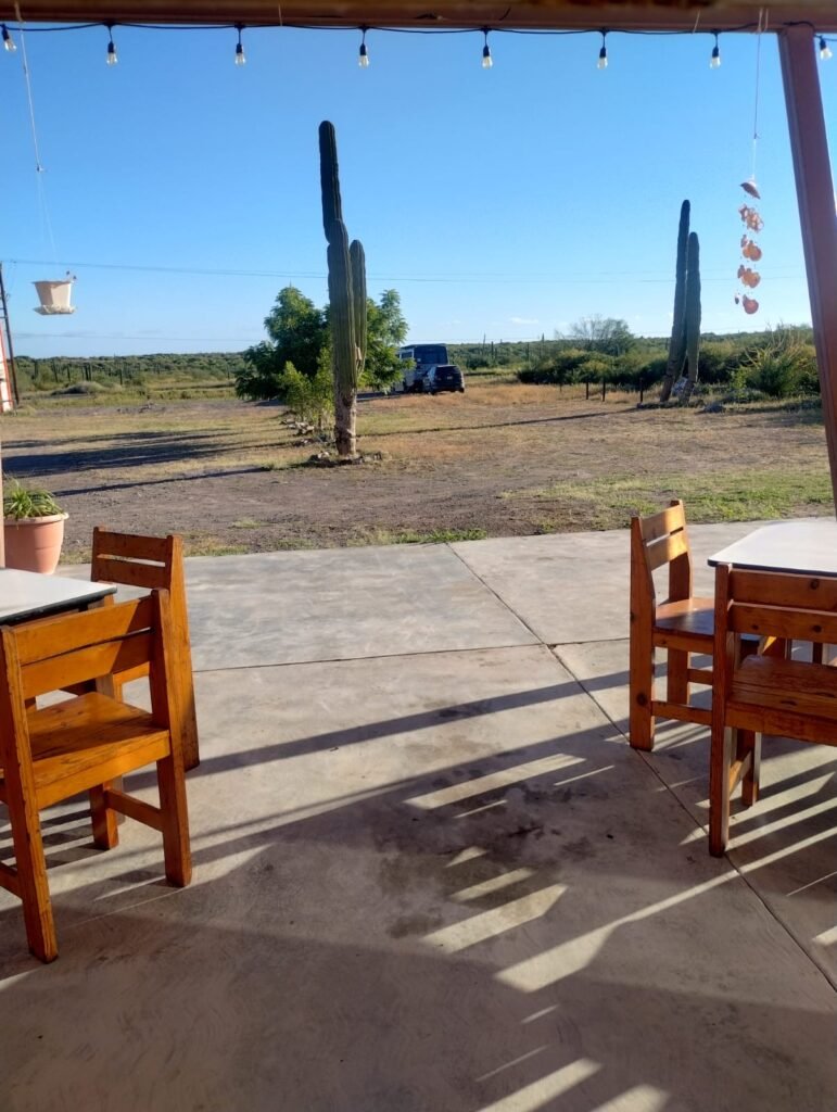rv park mulege,,mulege rv park,,rv park bahia concepcion,,rv sites mulege,,50 amp rv sites mulege,,rv park full hookups mulege,,beachfront rv park mulege,,pull through rv sites mulege,,best rv park mulege,,rv camping mulege,,mulege rv resort,,long term rv park mulege,,monthly rv sites mulege,,winter rv park mulege,,pet friendly rv park mulege,,rv park with wifi mulege,,rv park with dump station mulege,,rv park with showers mulege,,rv park with laundry mulege,,safe rv park mulege,,rv park baja california sur,,rv park bcs mexico,,bahia concepcion rv camping,,oceanfront rv sites mulege,,waterfront rv park mulege,,big rig friendly rv park mulege,,pull through 50 amp mulege,,full hookup rv sites bahia concepcion,,rv park near highway 1 mulege,,rv park near beach mulege,,rv campground mulege,,best camping mulege,,rv park near mulege,,rv parks in baja mexico mulege,,rv sites bahia concepcion 50 amp,,rv park reservations mulege,,cheap rv park mulege,,luxury rv park mulege,,family friendly rv park mulege,,snowbird rv park mulege,,Español (ranked),,parque rv mulegé,,parque de rv mulegé,,camping mulegé casas rodantes,,parque para casas rodantes mulegé,,rv bahía concepción,,parque rv bahía concepción,,sitios rv 50 amperes mulegé,,conexiones completas rv mulegé,,camping frente al mar mulegé,,sitios rv pull through mulegé,,mejor parque rv mulegé,,estancias largas rv mulegé,,renta mensual sitios rv mulegé,,parque rv apto para mascotas mulegé,,parque rv con wifi mulegé,,parque rv con descarga sanitaria mulegé,,parque rv con regaderas mulegé,,parque rv con lavandería mulegé,,parque rv seguro mulegé,,parque rv baja california sur,,parque rv bcs méxico,,camping bahía concepción rv,,sitios rv frente al mar mulegé,,sitios rv a la orilla del mar mulegé,,parque rv para big rigs mulegé,,50a pull through mulegé,,sitios rv full hookups bahía concepción,,parque rv cerca de la carretera 1 mulegé,,parque rv cerca de la playa mulegé,,reservaciones parque rv mulegé